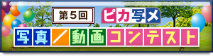 第4回 ピカ写メ 写真/動画コンテスト