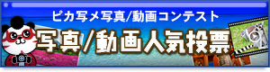 第4回施設写真/動画コンテスト 写真／動画人気投票