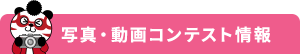 写真・動画コンテスト情報